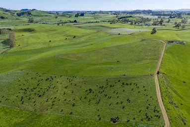 1356 Otorohanga Road, State Highway 3_4
