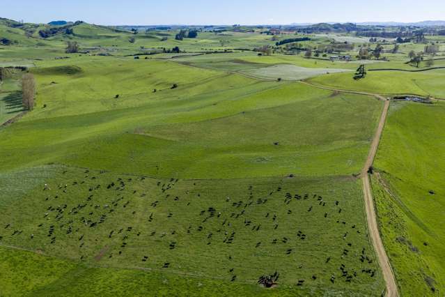 1356 Otorohanga Road, State Highway 3 Otorohanga_4