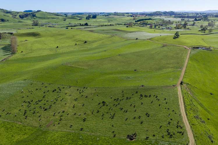 1356 Otorohanga Road, State Highway 3 Otorohanga_4