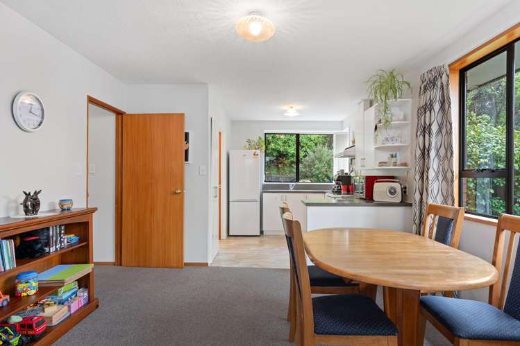 1/8 Torvill And Dean Lane Cashmere_7