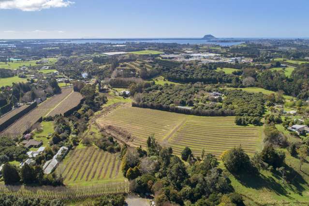 154b Ainsworth Road Te Puna_3