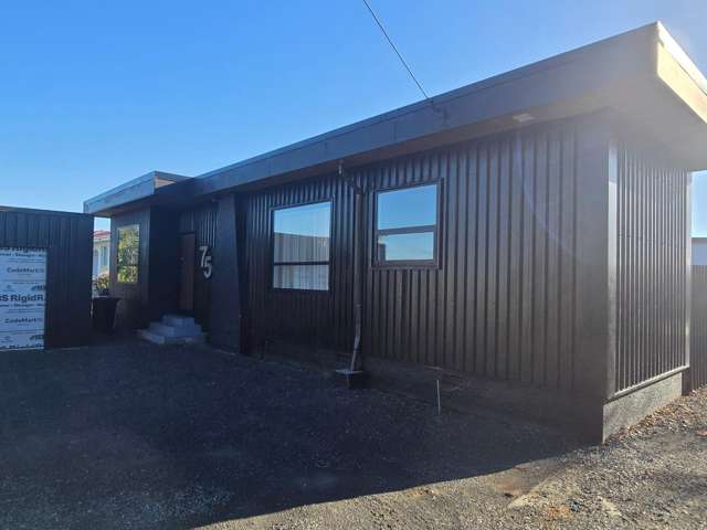 Extensively Renovated Easy-Care Rental