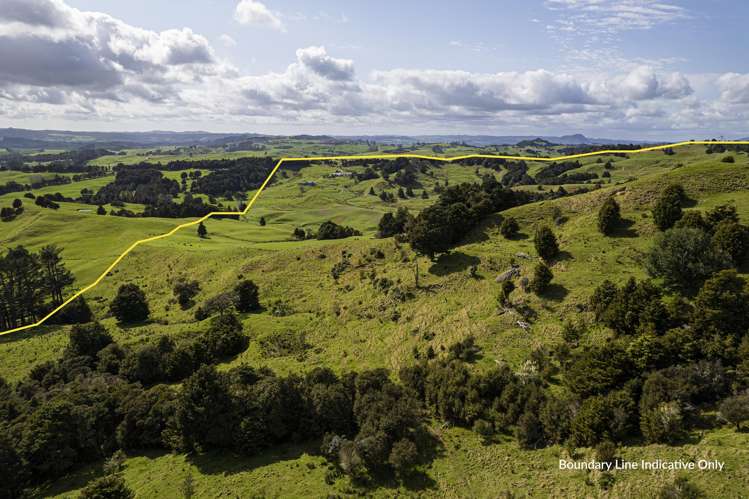 313 Paiaka Road Hikurangi Rd2_39