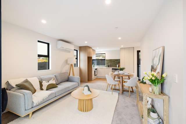 Modern, Low-Maintenance Homes