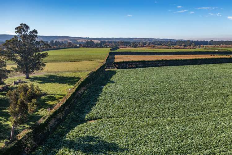 152 Stonyflat Road Loburn_16