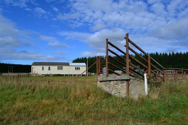 173 Bluff Hill Road Waianakarua_11