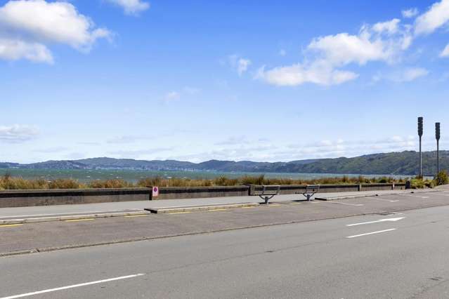 6/1 Aurora Street Petone_2