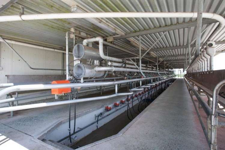 1308 Mossop Road Kinleith_10