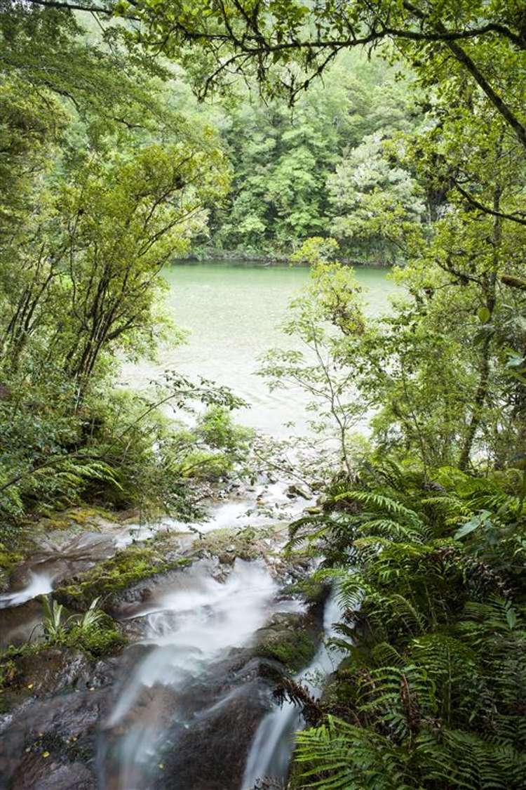 2314 Shenandoah Highway Murchison_11