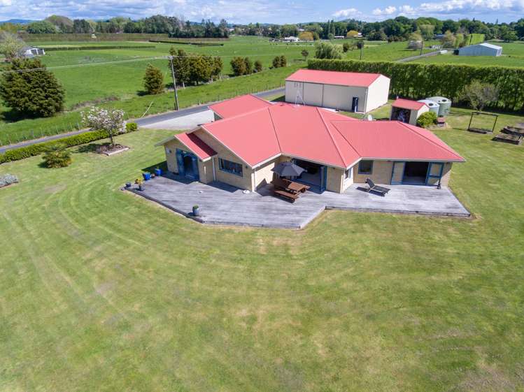 81a Horrell Road Morrinsville_17