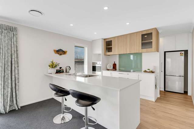 41 Ashbury Drive Tinwald_1