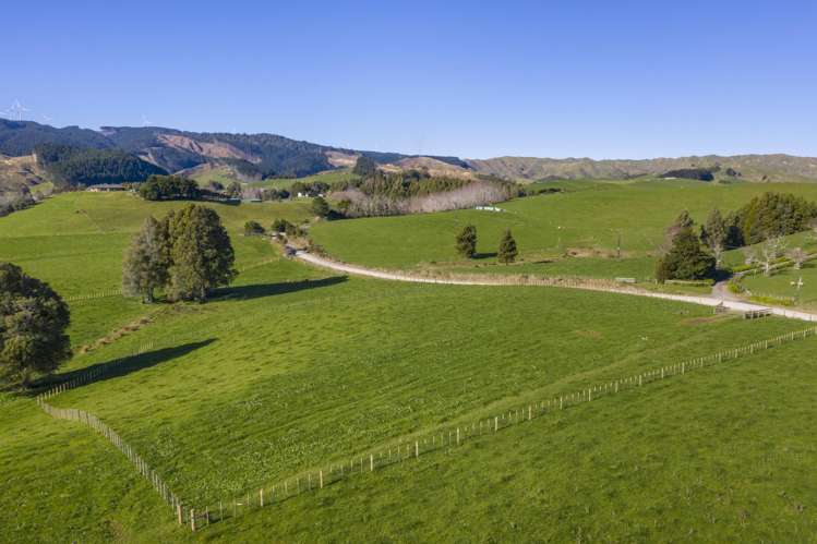 9A Pond Road Raglan_29