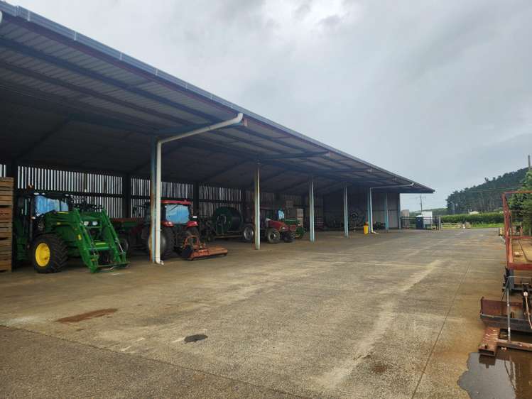 29 Dazeley Road Puni_5