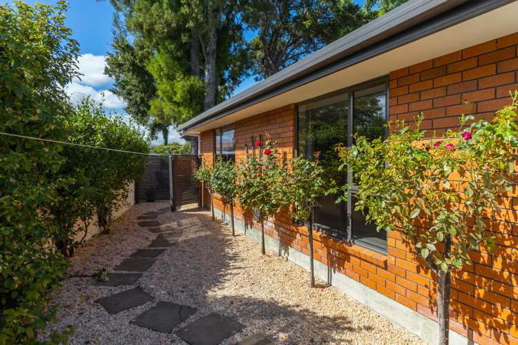 10 Stephenson Street Blenheim Central_16