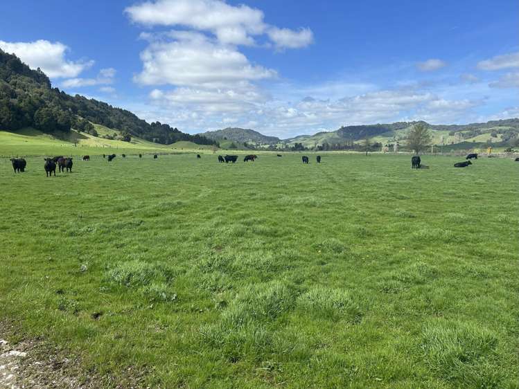 2858 State Highway 30 Benneydale_11