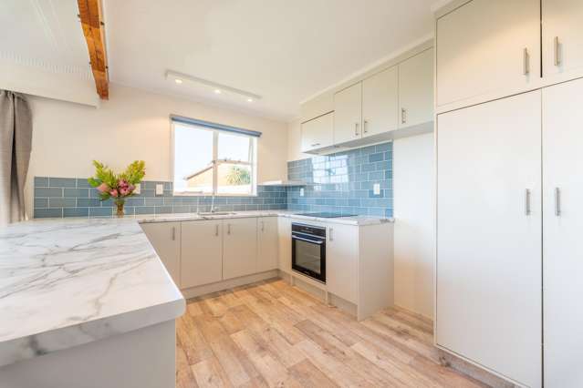 27 Newcastle Street Hampden_2