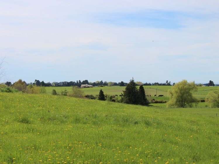 47 Waituna School Road Waimate_21