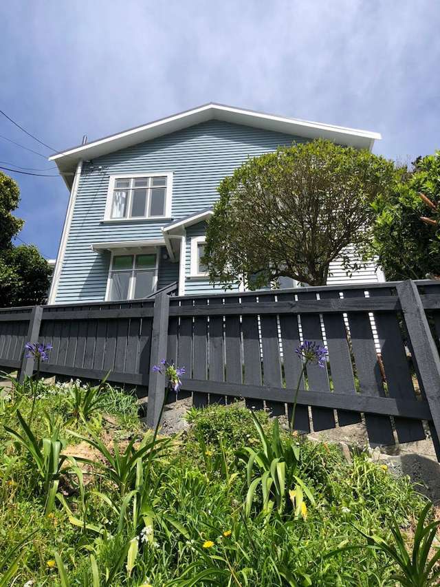 213 Aro Street Aro Valley_1