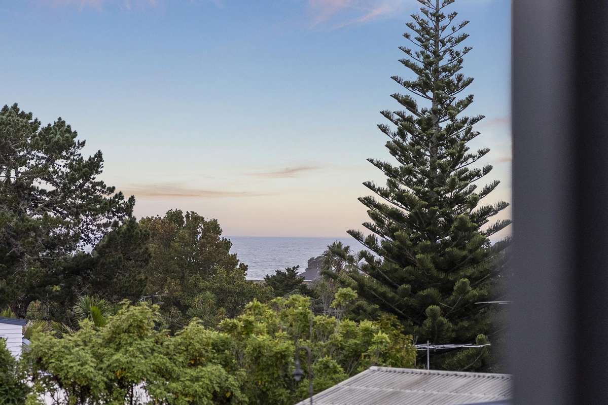 29 Korotaha Terrace_2