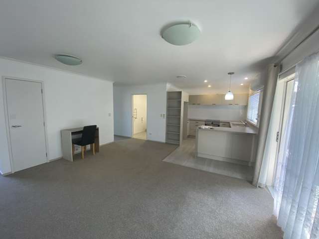 17E Maitland Street Frankton_4