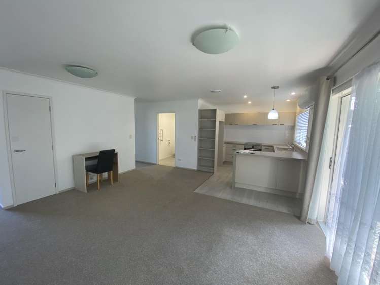 17E Maitland Street Frankton_4