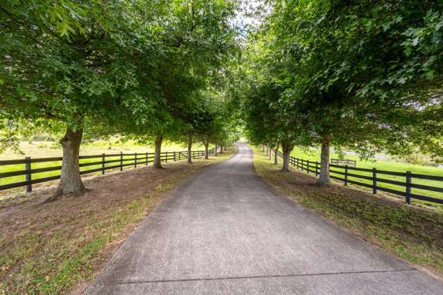 204 Broomfields Road Whitford_3