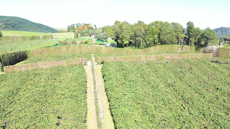 1395 No 3 Road Te Puke_8