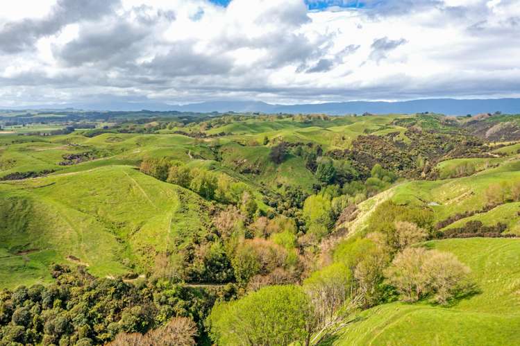 475 Pollock Road Pohangina_13