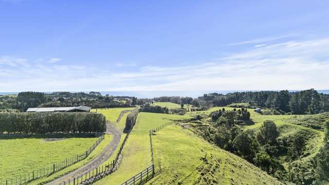 29 Wilson Road Urenui_4