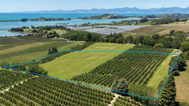 Lot 1/86 Eden Road Tasman_3