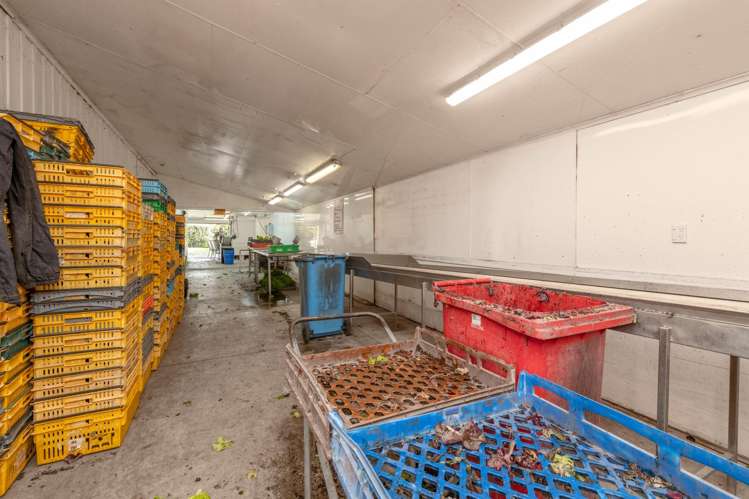 107 Ongare Point Road Katikati_31