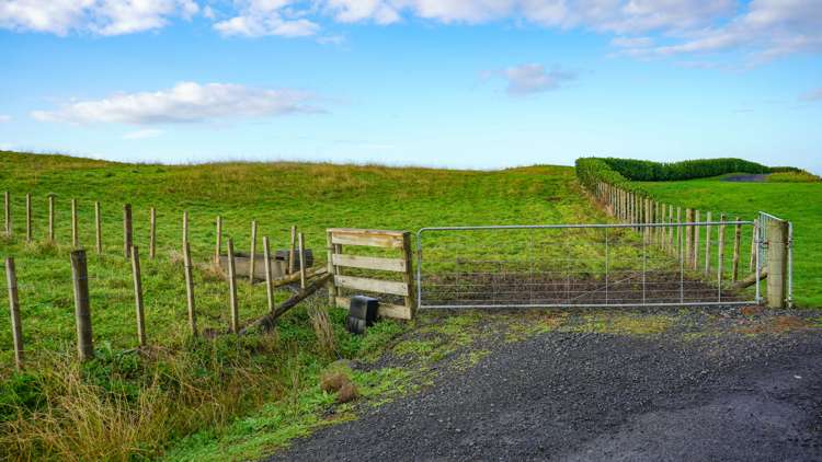 724c Island Block Road Te Kauwhata_8