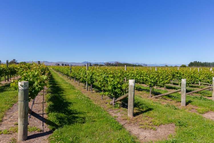 263 Chaytors Road Spring Creek_12