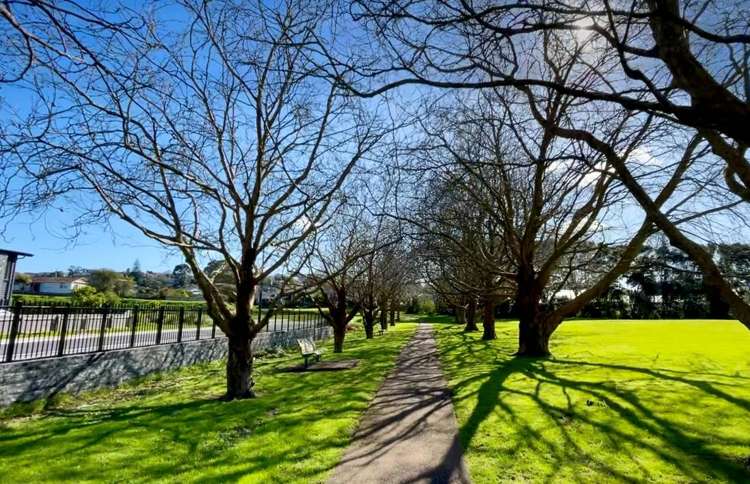 54 Garden View Rise Remuera_22