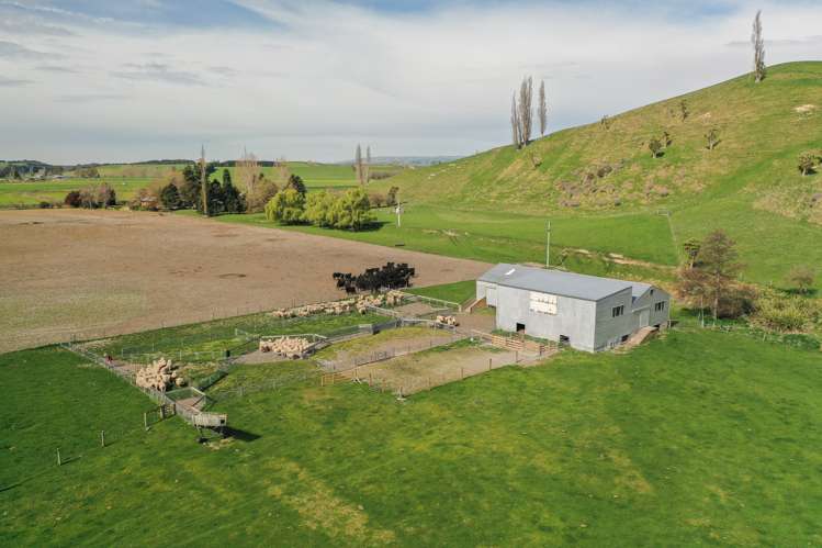 22 Hazelburn Road Pleasant Point_15