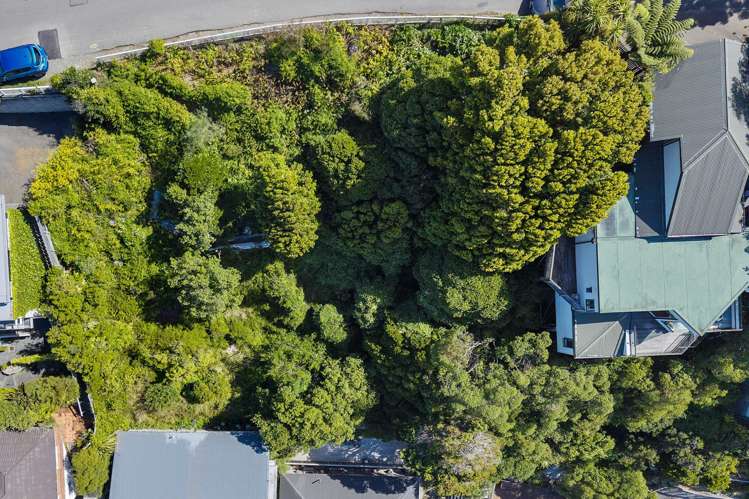 47 Roseneath Terrace Roseneath_11