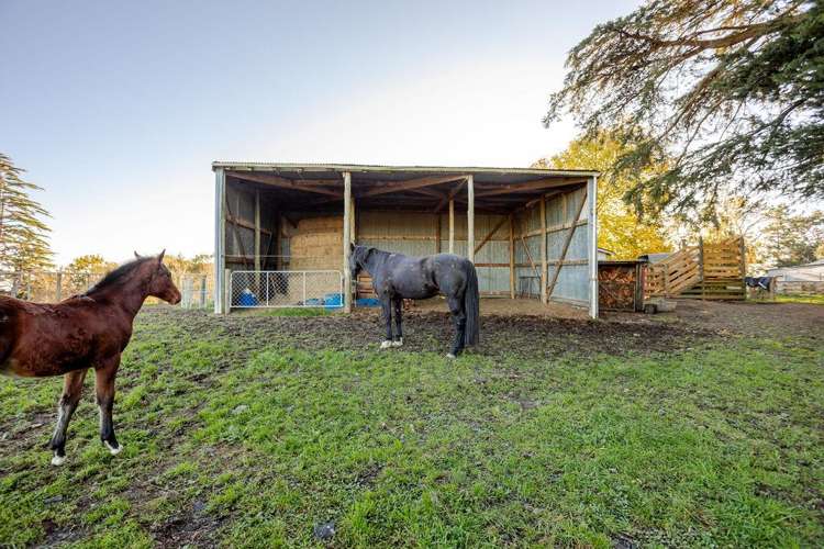 180 Tipapakuku Road Dannevirke_14