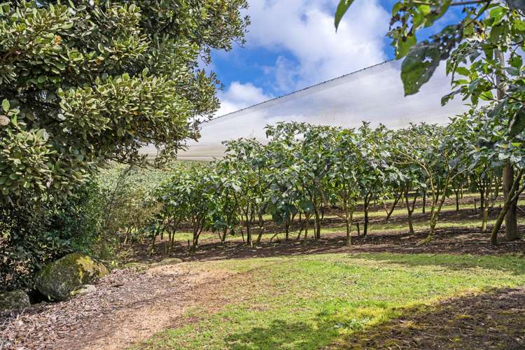 18 Cooper Road Maungatapere_22