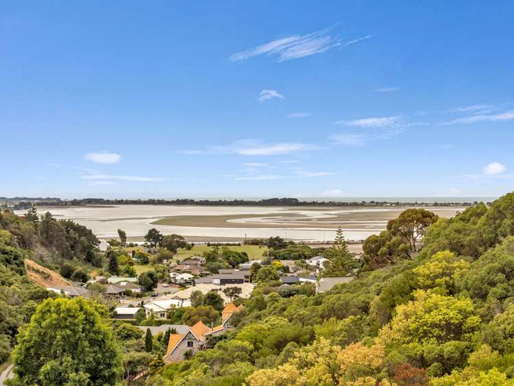 10 Cadiz Lane Mount Pleasant_22