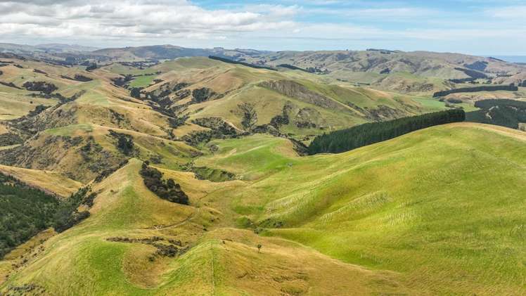 2 Cotswold Road Omihi_40