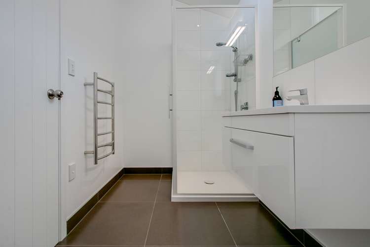 49 Mcgrath Street Napier South_18