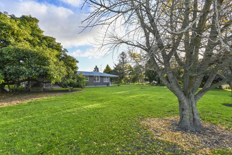 1223 Jellicoe Street Mayfair_15