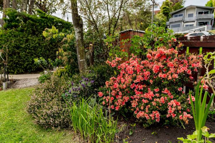 36 Barr Street Kenmure_23