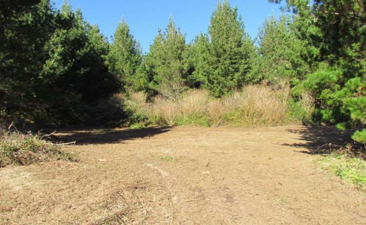 1028B McIvor Road Rotoma_4