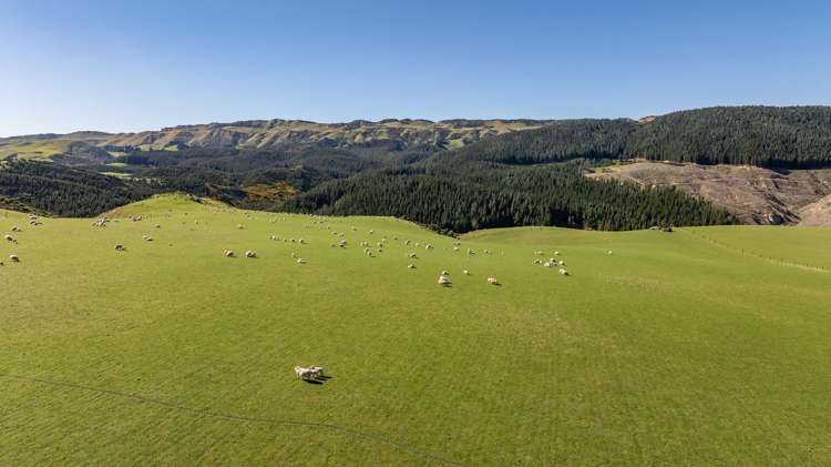 614 Omihi Road Omihi_11