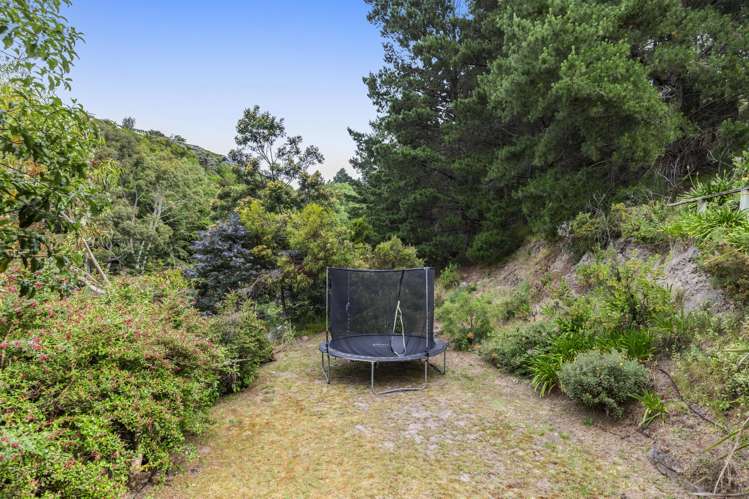 62 Holliss Avenue Cashmere_17