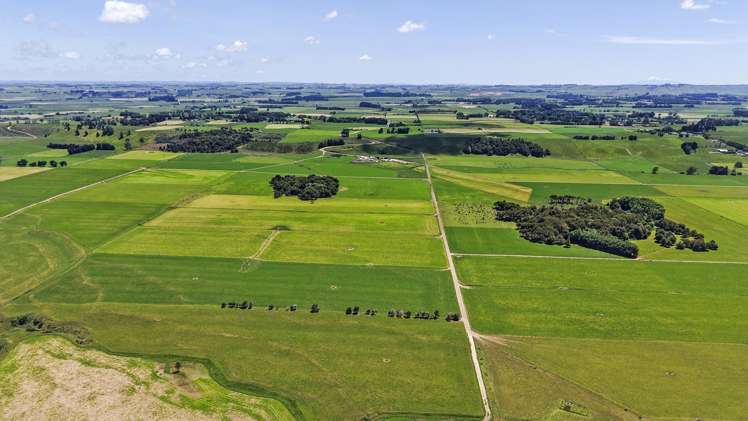 Generational Opportunities Palmerston North_14