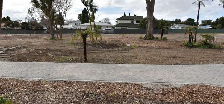 117 Avondale Road Avondale_1