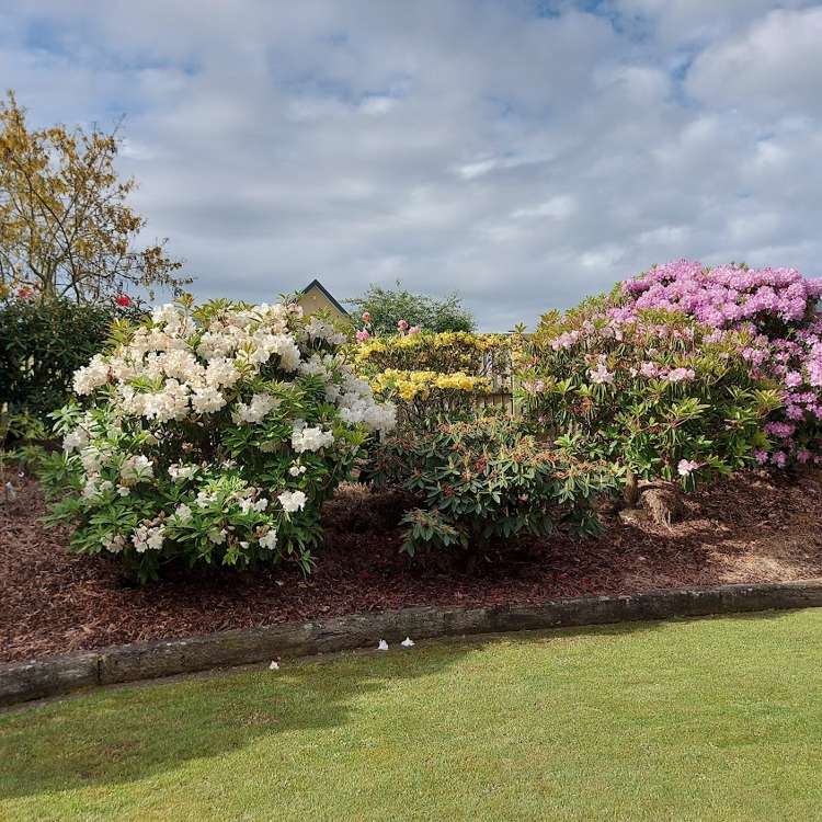 184 Pages Road Marchwiel_18