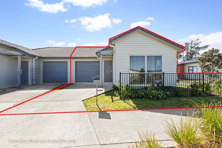12 Totara Meadows Court_2